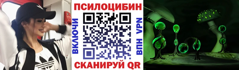 Купить  Гаджиево  Галлюциногенные грибы Psilocybe 